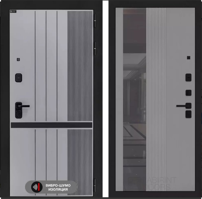 Дверь SKYLAB DIS007318